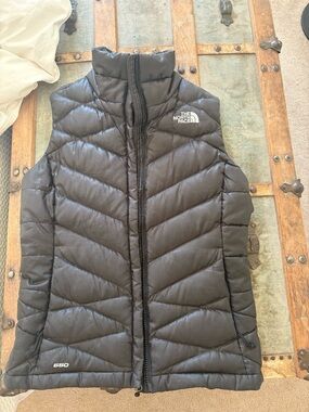 The North Face Black Women's Vest